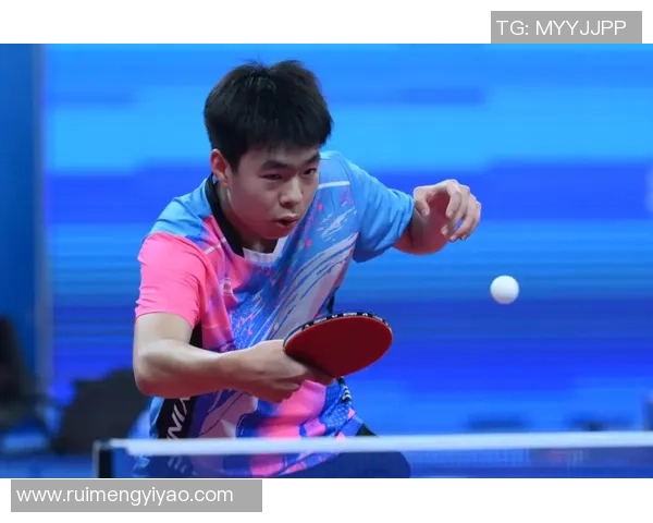 南京乒乓球队在全国锦标赛中的耐力表现分析与总结