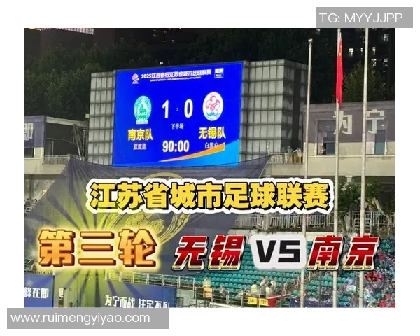 南京足球队在城市联赛中的状态分析与表现评估