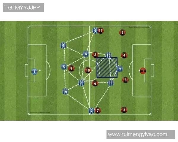 西安排球队技术对比深度解析与战术优势探讨