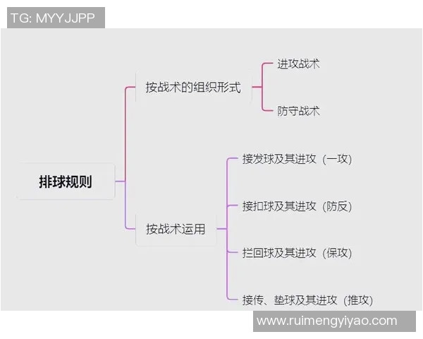 南京排球队快攻战术解析与深度剖析排球竞技的魅力与技巧